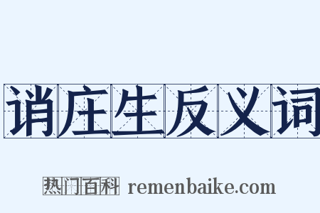 诮庄生反义词是什么意思的图片